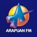 Arapuan FM 95.3 Logo