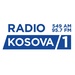 RTK - Radio Kosova Logo