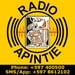 Apintie Radio Logo